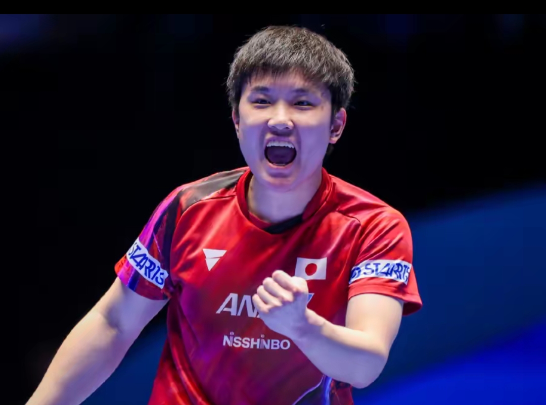 平台档期强 平台档期强