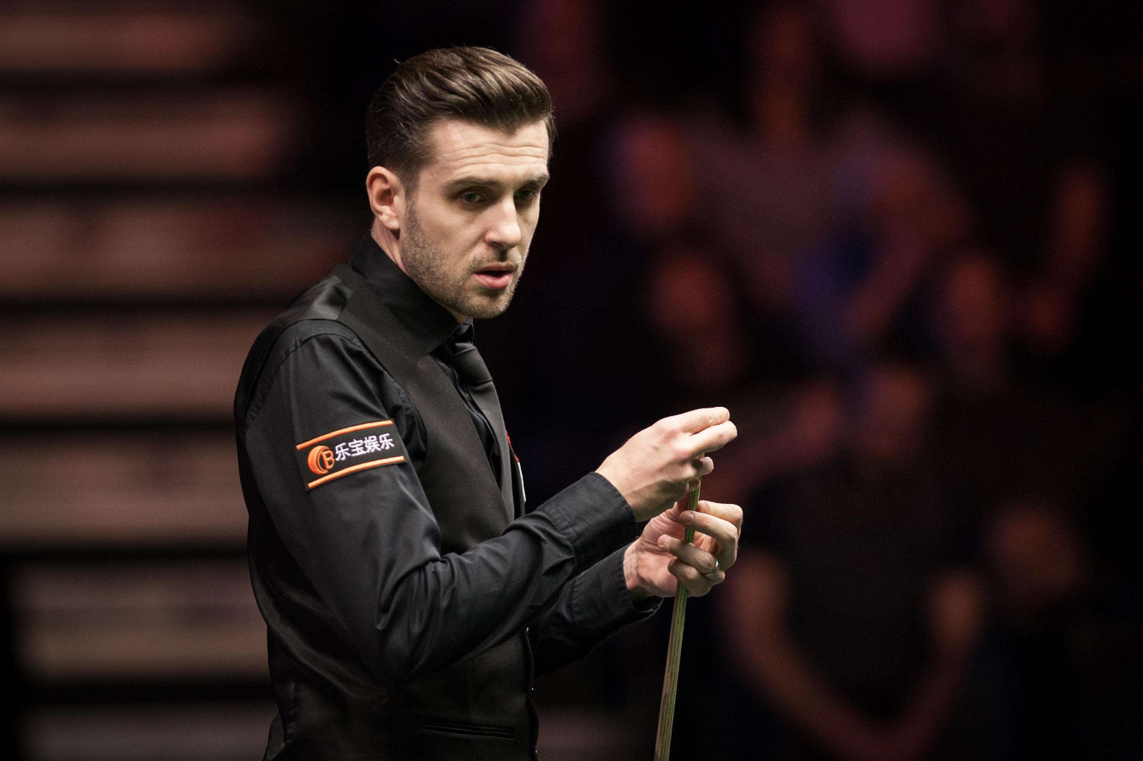 巨戟龙活动 巨戟龙活动